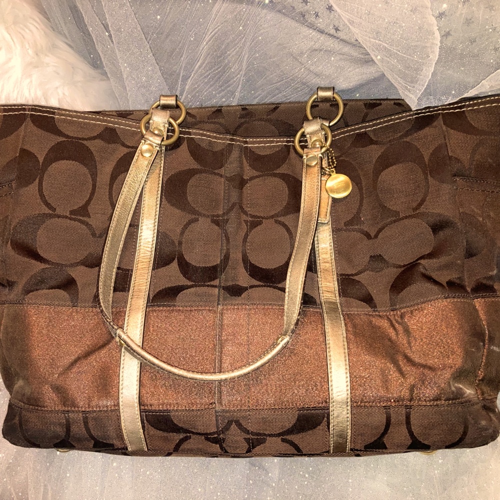 😎⛅️🌅 Coach Bag